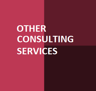 Other Consulting Services