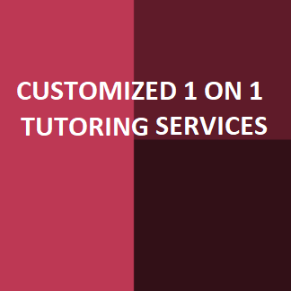 Customized 1 on 1 Tutoring Services